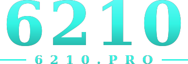6210 logo
